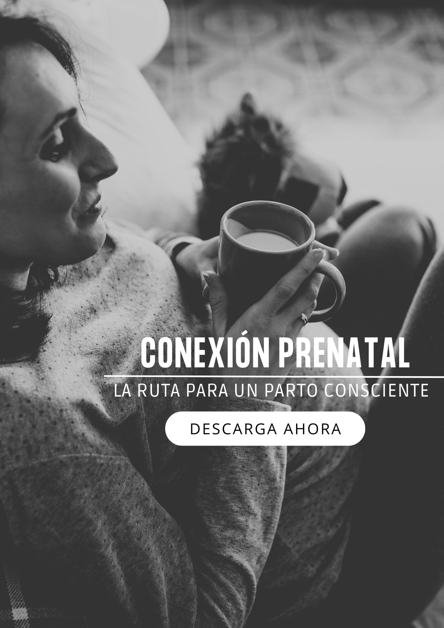 Conexión prenatal